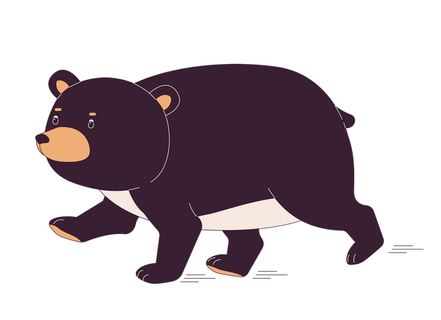 Fat bear running  Illustration