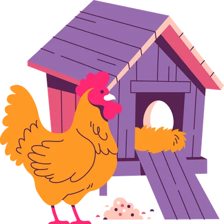 Fazenda de galinhas  Ilustração