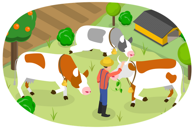 Fazenda de vacas  Ilustração