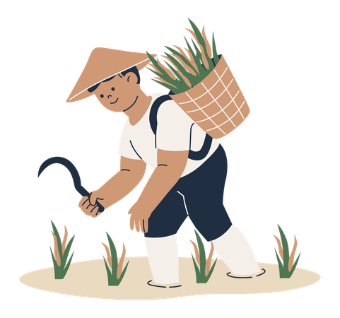 Agricultor colhendo colheitas  Ilustração