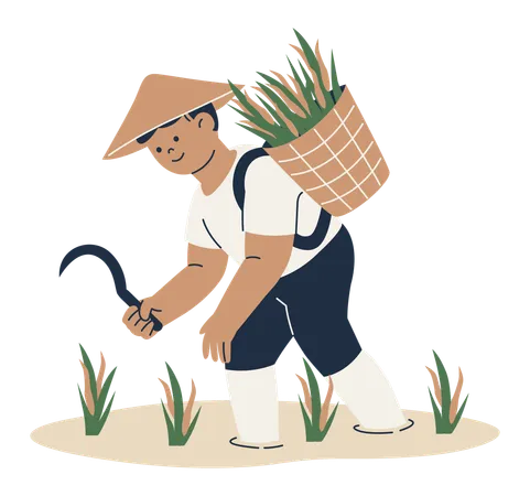 Agricultor colhendo colheitas  Ilustração