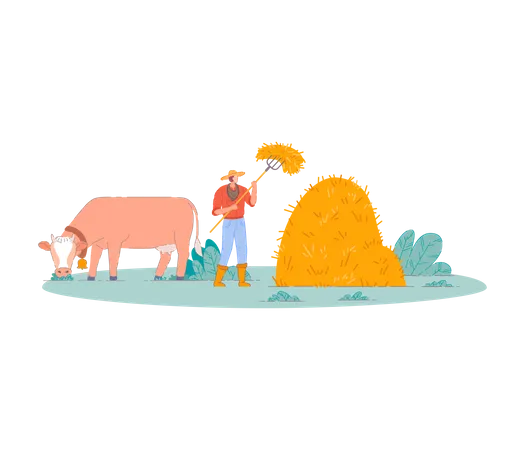 Agricultor reunindo palheiro com vaca  Ilustração