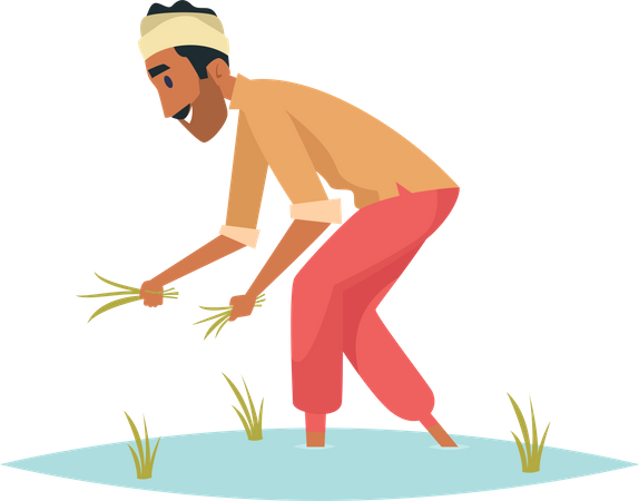 Fazendeiro Indiano  Ilustração