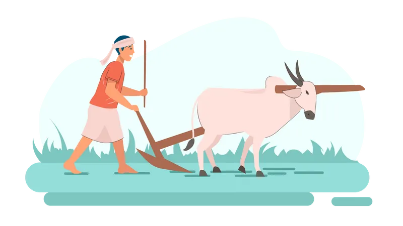 Agricultor indiano montando boi  Ilustração