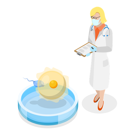 La fécondation in vitro  Illustration