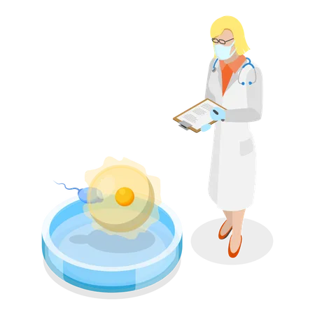 La fécondation in vitro  Illustration