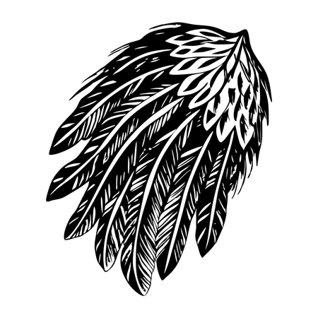 Gefieder  Illustration