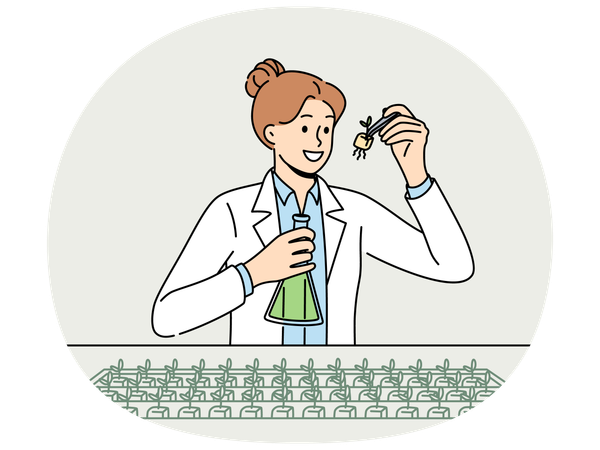 Female agricultural scientist examines plants in laboratory  Illustration