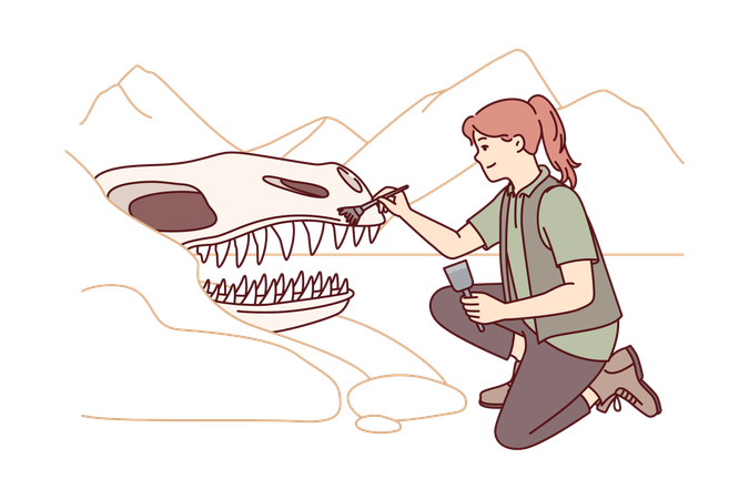 Female archeologist brushing dinosaur face  Illustration