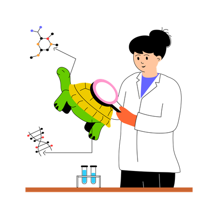 Female biologist research on turtle  Illustration