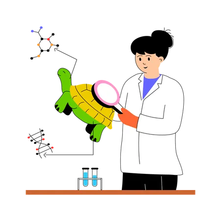 Female biologist research on turtle  Illustration