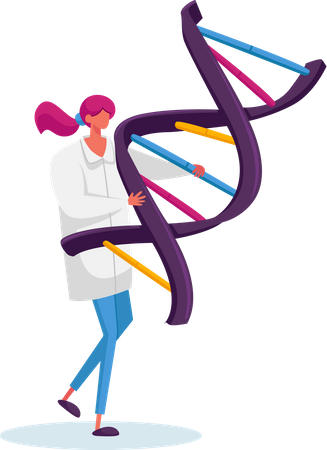 Female Carry Human Dna Spiral Model  Illustration