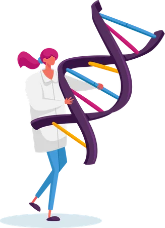 Female Carry Human Dna Spiral Model  Illustration