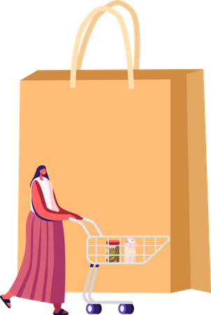 Female Customer With Trolley in Grocery or Supermarket Illustration
