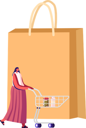 Female Customer With Trolley in Grocery or Supermarket  Illustration