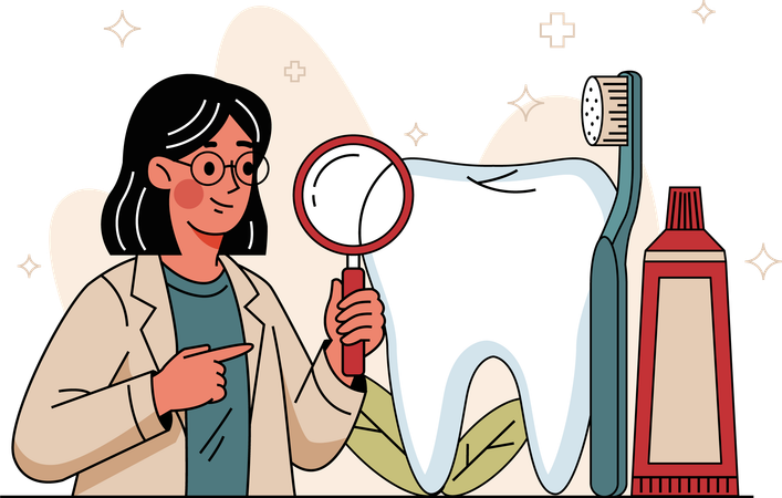 Female dentist checks teeth  Illustration