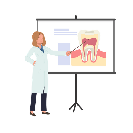 Female Dentist explains about tooth on whiteboard  Illustration