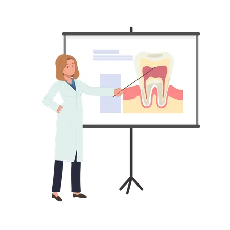 Female Dentist explains about tooth on whiteboard  Illustration