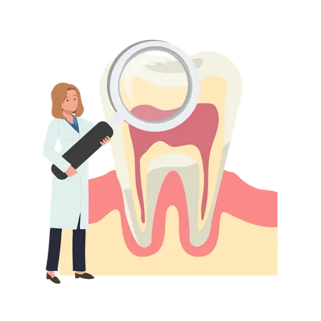 Dental Medical Teeth Check Up Concept Female Dentist With A Big Magnifying And Teeth Searching Anatomy Of Tooth Flat Vector Cartoon Illustration Illustration