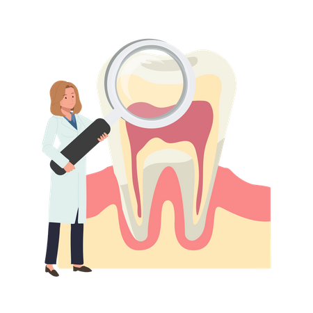 Female dentist research on teeth  Illustration