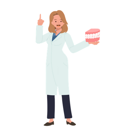 Female Dentist with mouth model explaining how to take care teeth  イラスト