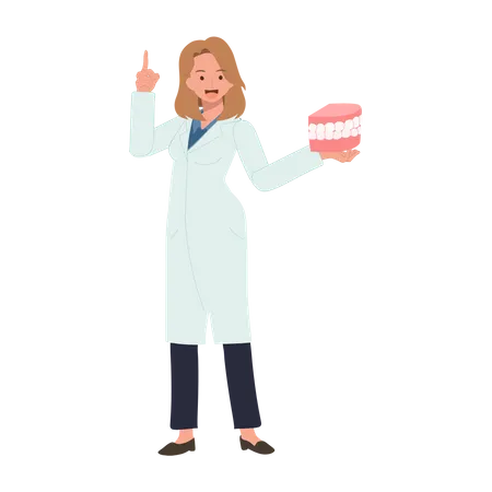 Female Dentist with mouth model explaining how to take care teeth  Illustration