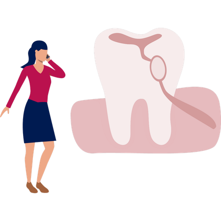 Female dentt checking teeth  Illustration