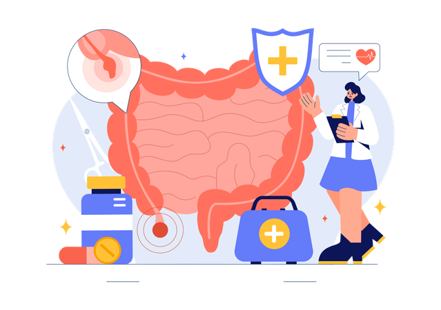 Female doctor checking Appendicitis Inflammation  Illustration