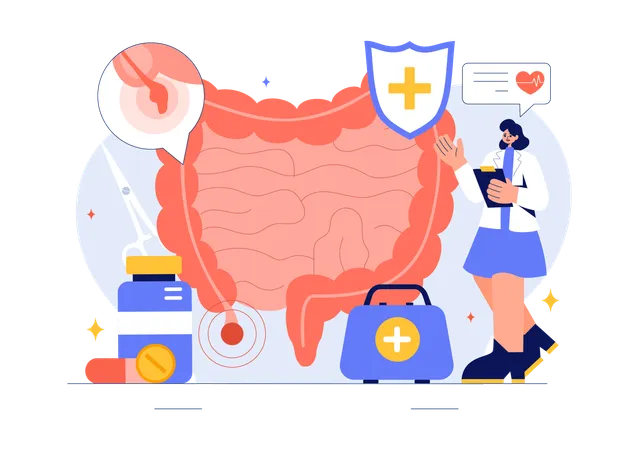 Female doctor checking Appendicitis Inflammation  Illustration