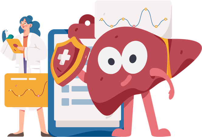 Female doctor checking liver report  Illustration