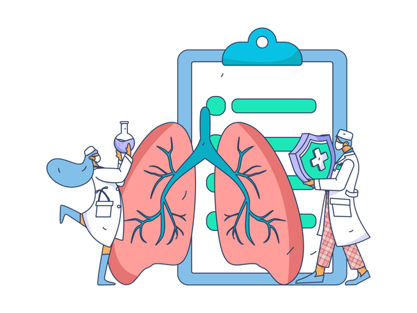 Female doctor checking lung report  Illustration