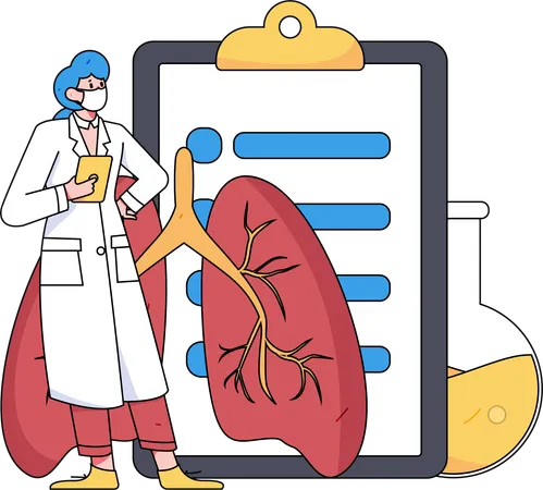 Female doctor checking lungs report  Illustration