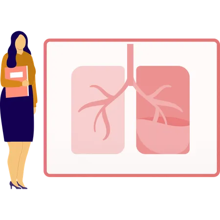 Female doctor checking lungs report  Illustration