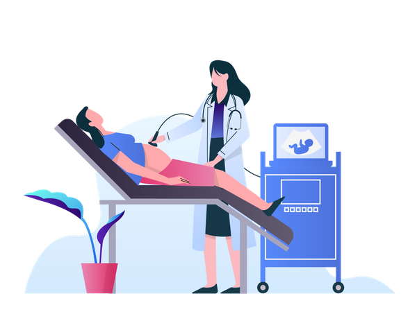 Female doctor doing ultrasound pregnancy procedure  Illustration