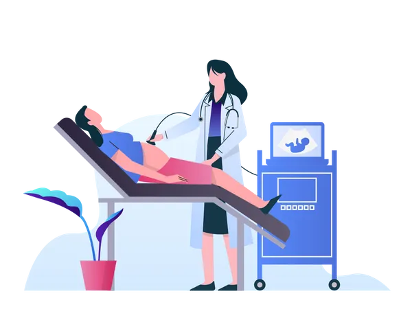 Female doctor doing ultrasound pregnancy procedure  Illustration