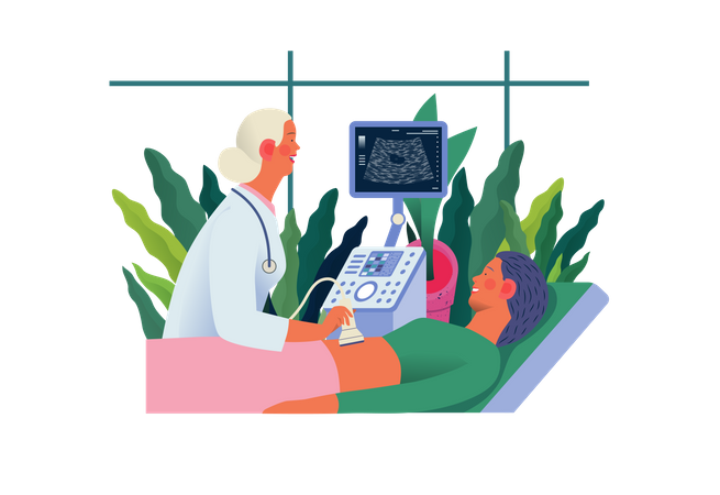 Female doctor doing ultrasound test  Illustration