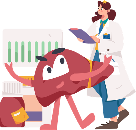 Female doctor examinates liver  Illustration