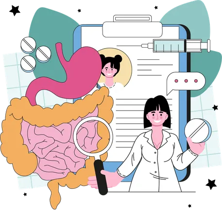 Female doctor examine digestive system  Illustration