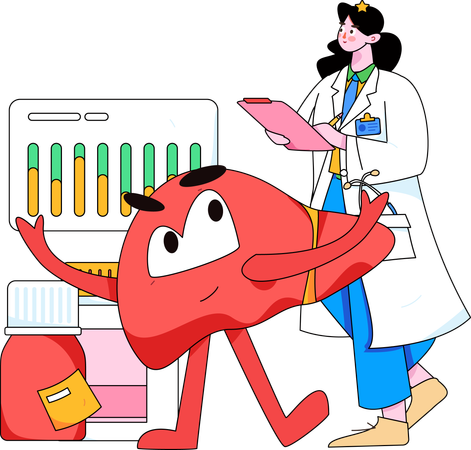 Female doctor examine liver  Illustration