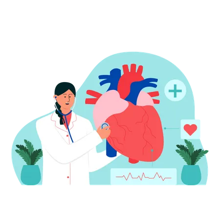Heart specialist check heart  Illustration