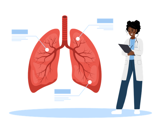 Female doctor examining Respiratory system disease  Illustration