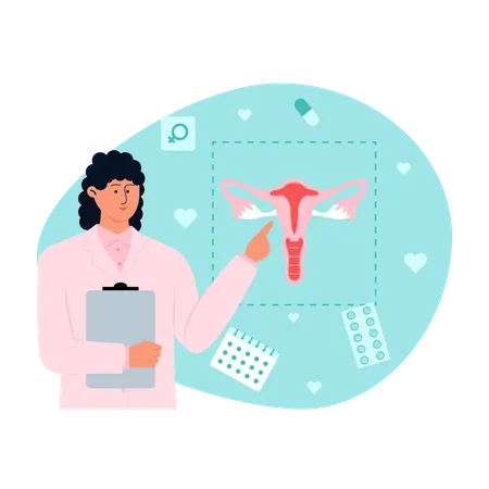Female gynaecologist explaining of the health of the female reproductive system  Illustration