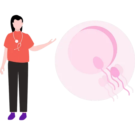 Female doctor is talking about sperm fertilization Illustration
