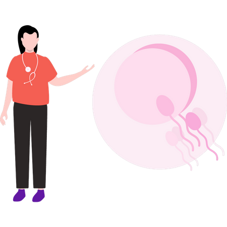 Female doctor is talking about sperm fertilization  Illustration