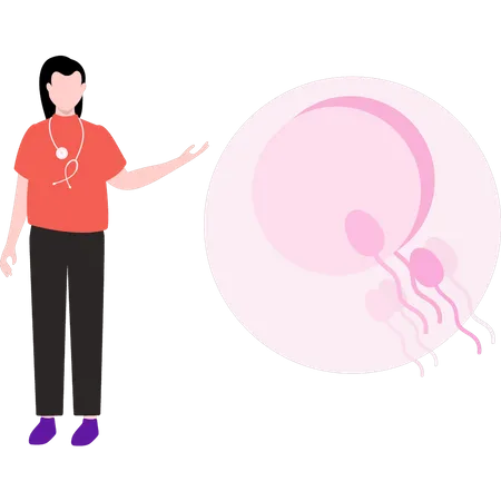 Female doctor is talking about sperm fertilization  Illustration