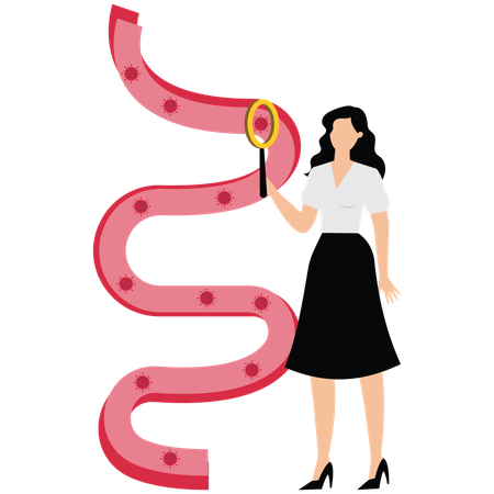 Female doctor research of Blood Vessel  Illustration