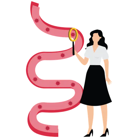 Female doctor research of Blood Vessel  Illustration