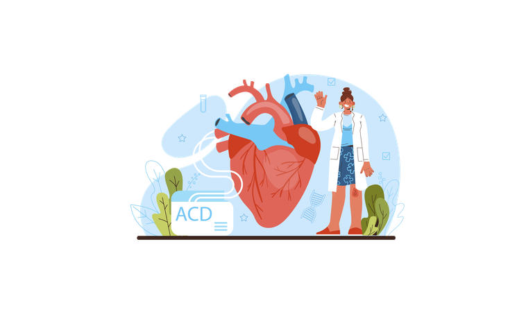 Female doctor showing heart  Illustration