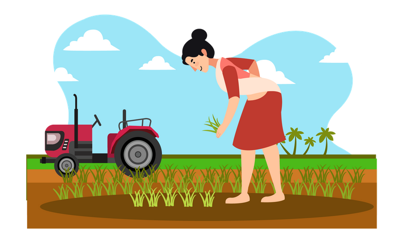 Female farmer collecting crop  Illustration