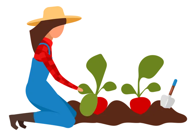 Female farmer collecting harvest Illustration